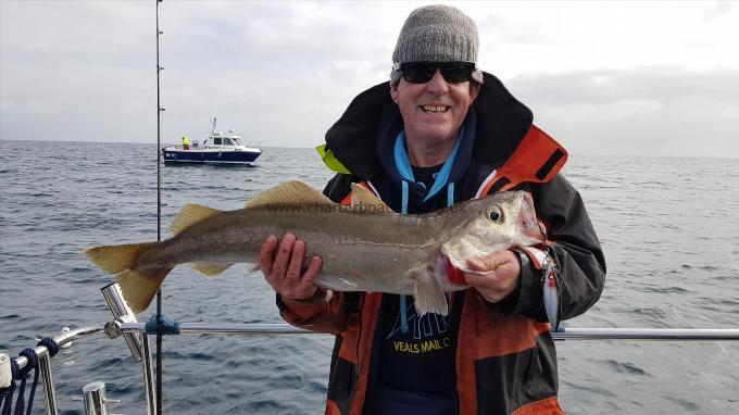 8 lb 3 oz Pollock by Steve