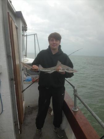 6 lb Starry Smooth-hound by Well Done Lewis
