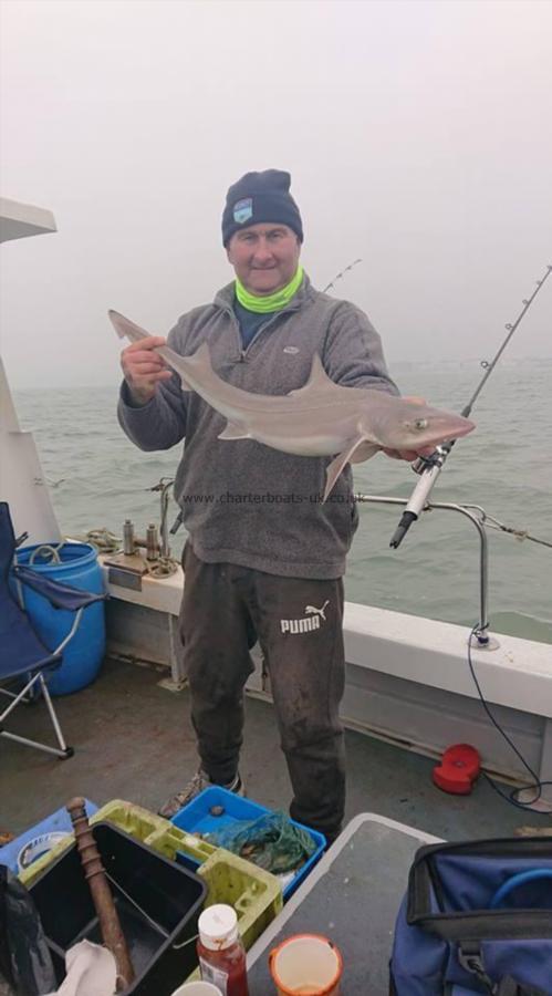 8 lb Smooth-hound (Common) by Jason Parrott