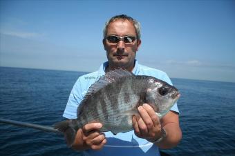 3 lb 14 oz Black Sea Bream by Steve