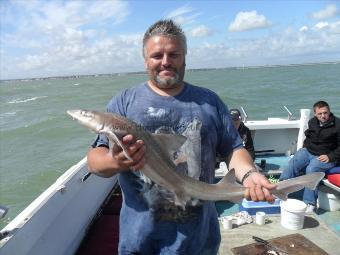8 lb Smooth-hound (Common) by Roger