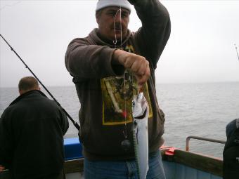 1 lb 10 oz Mackerel by Kevin Orchards Mackerel