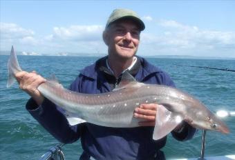 19 lb 8 oz Spurdog by Dave Barton