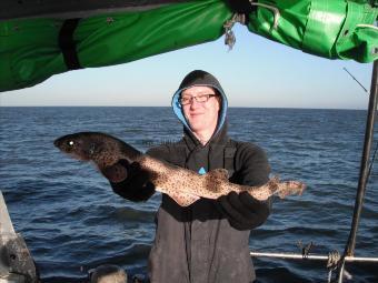 3 lb Lesser Spotted Dogfish by Ash from York