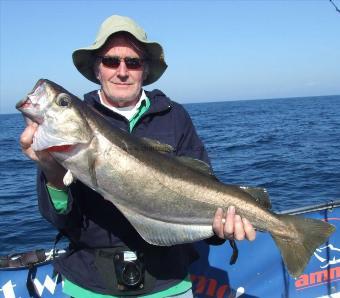 13 lb 8 oz Pollock by Les Whiteman