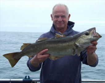 12 lb 11 oz Pollock by Robin Amor