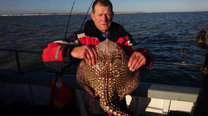 11 lb 4 oz Thornback Ray by Mick from margate