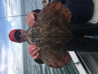 10 lb Undulate Ray by Rich