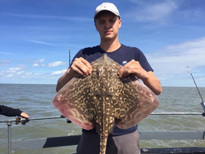 8 lb Thornback Ray by Unknown