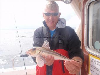 1 lb 2 oz Grey Gurnard by Dave Alexander from Leicester