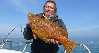 8 lb 13 oz Ballan Wrasse by Les Hannington