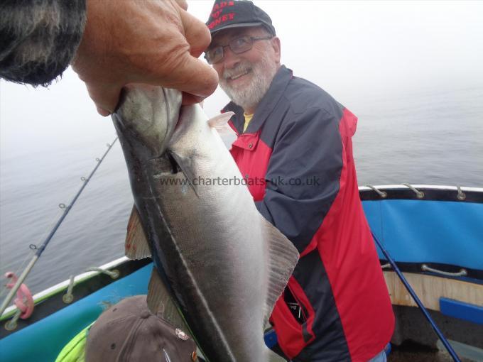 4 lb Coalfish (Coley/Saithe) by Unknown