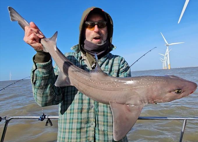 9 lb 3 oz Smooth-hound by Darryl