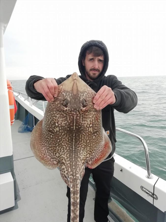 10 lb 9 oz Thornback Ray by Will
