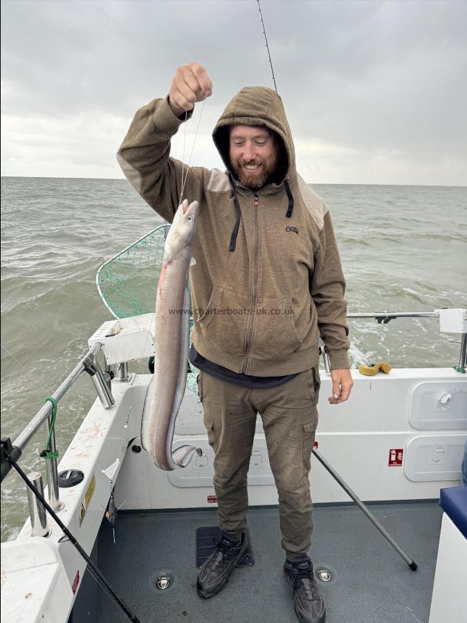 5 lb Conger Eel by Alfie