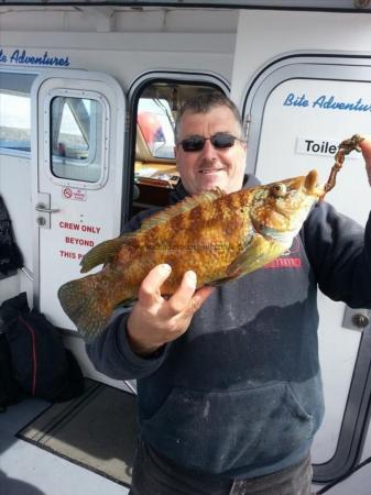 4 lb Ballan Wrasse by Mike groves