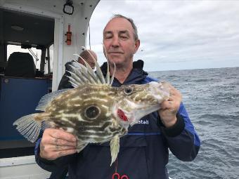 3 lb John Dory by Kevin McKie