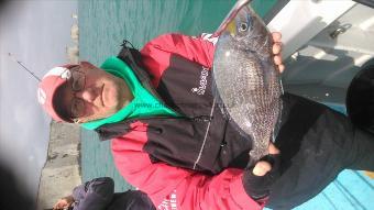 2 lb 2 oz Black Sea Bream by glen