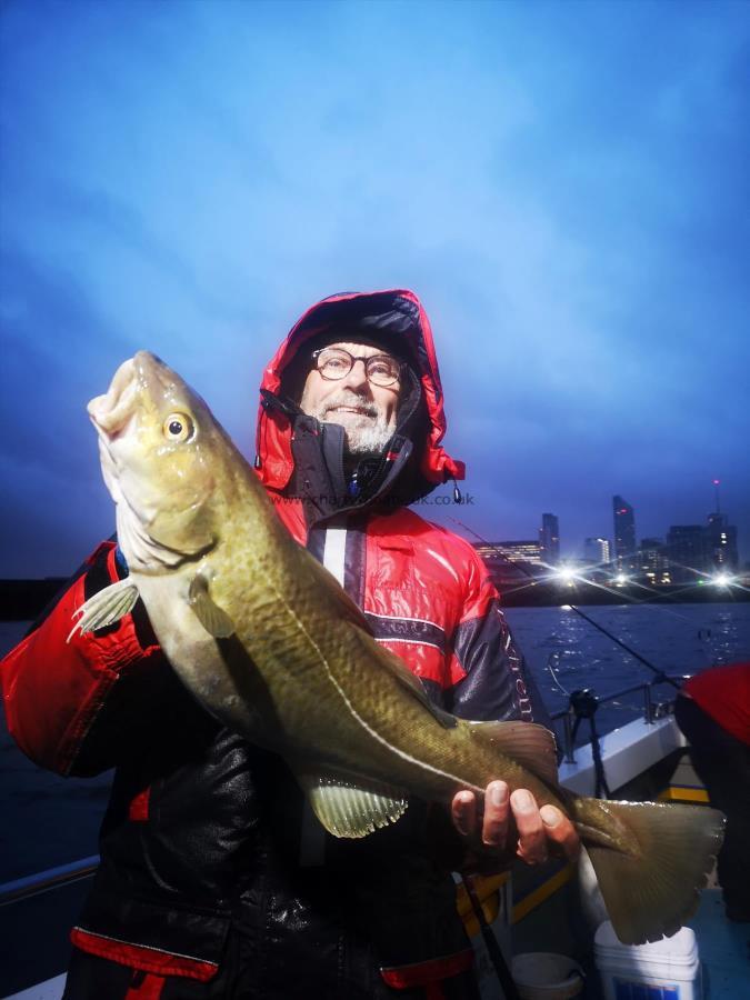 7 lb 2 oz Cod by Unknown