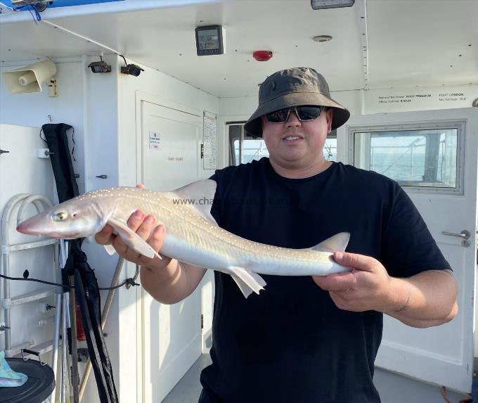 6 lb Smooth-hound by Unknown