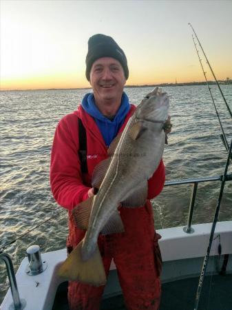 8 lb 4 oz Cod by Unknown