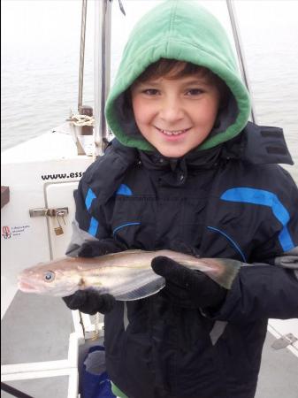 7 oz Whiting by Scott Belbin