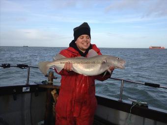 8 lb Cod by Happy Chappy