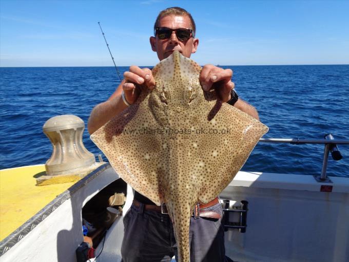 7 lb Blonde Ray by Frank
