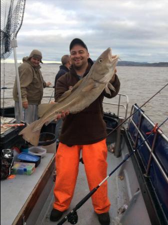 14 lb Cod by George the bas Stavrakopoulos