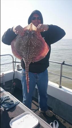 7 lb 12 oz Thornback Ray by Bob Marshall