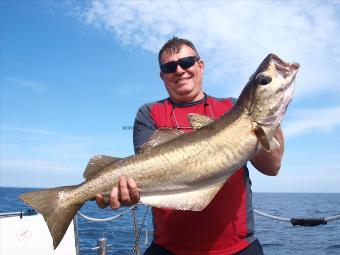 14 lb 8 oz Pollock by Unknown