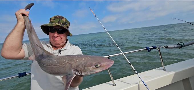 10 lb Starry Smooth-hound by Ian