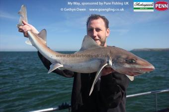 14 lb Starry Smooth-hound by Mark