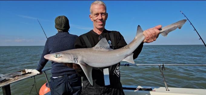 10 lb 2 oz Smooth-hound by Simon