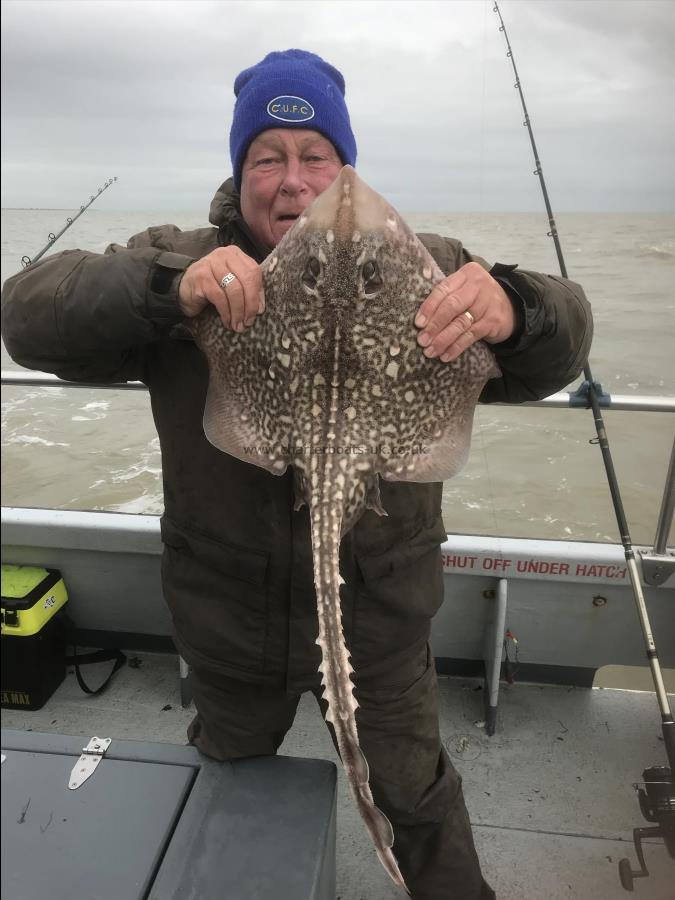 11 lb 2 oz Thornback Ray by Unknown