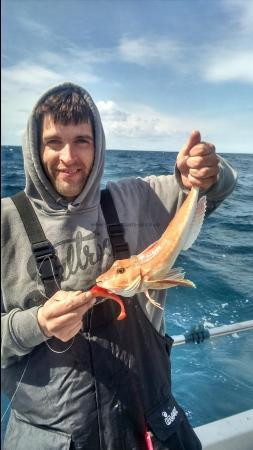 1 lb 6 oz Red Gurnard by steve with his Gurnard