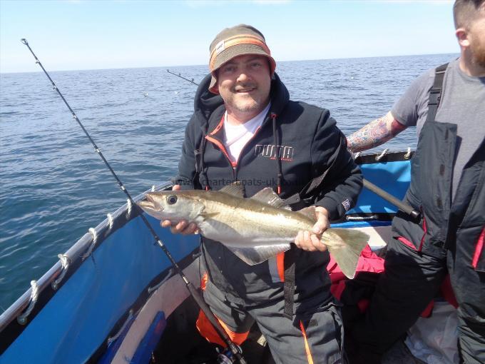 5 lb 1 oz Pollock by caught by danny