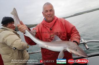 14 lb Starry Smooth-hound by John