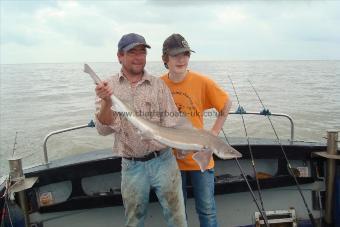 10 lb 8 oz Starry Smooth-hound by aaron/ellis