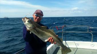 9 lb 5 oz Pollock by Richard