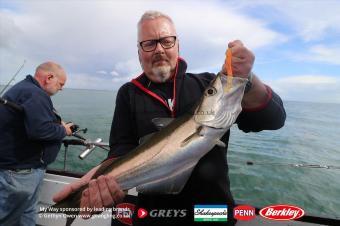 4 lb Pollock by Graham