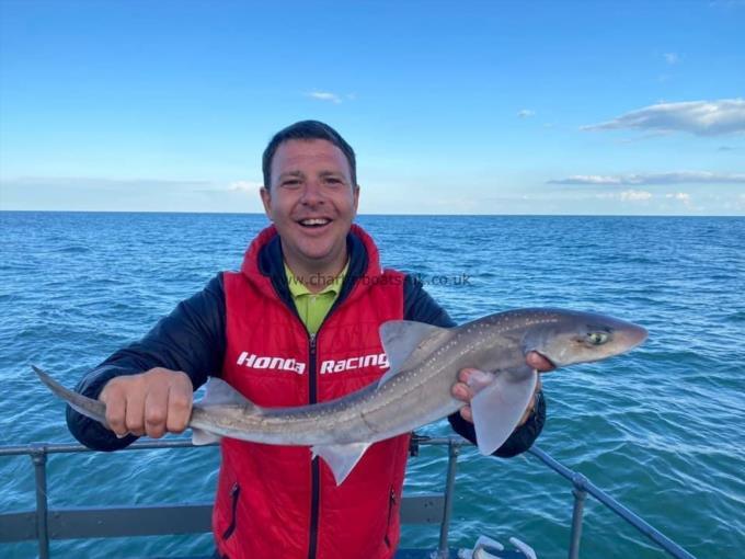 6 lb Smooth-hound by Unknown