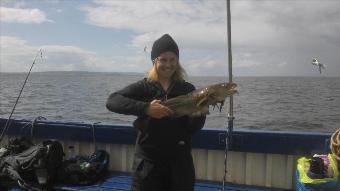 4 lb 9 oz Cod by Liz