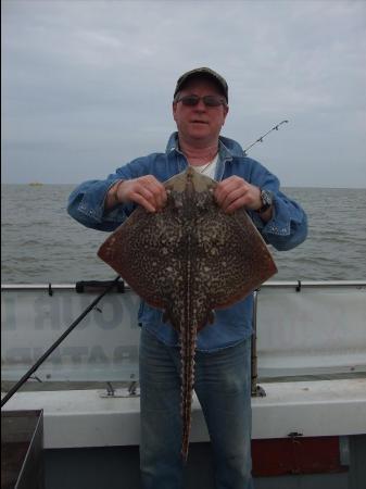 8 lb Thornback Ray by Unknown