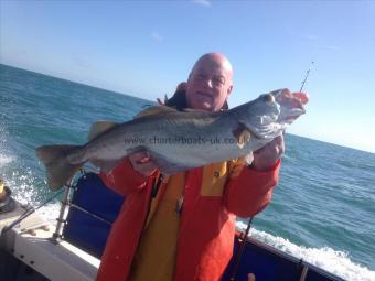 11 lb 9 oz Pollock by Unknown