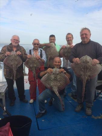 8 lb Thornback Ray by Unknown