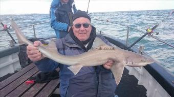 7 lb 3 oz Starry Smooth-hound by les from London