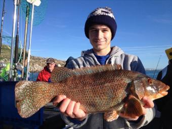 4 lb 8 oz Ballan Wrasse by Ryan casey