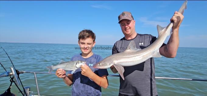 10 lb Starry Smooth-hound by Rob