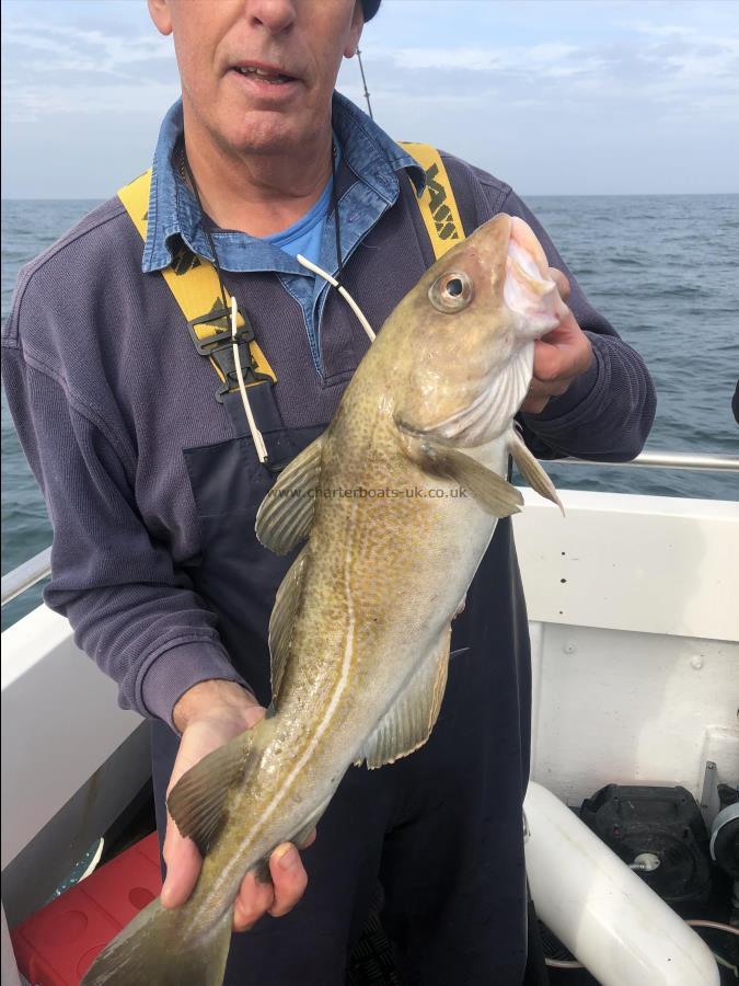 5 lb Cod by Unknown